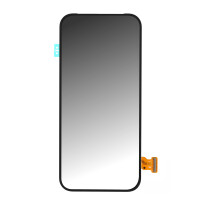 Google Displayeinheit Pixel 9 Pro G949-01070-00