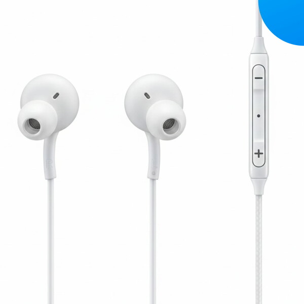 Samsung Type-C Écouteurs white EO-IC100BW
