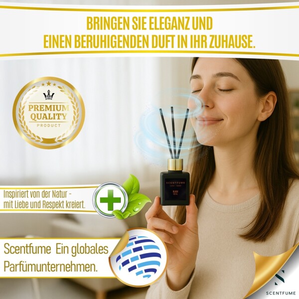 Room fragrance with scented sticks, violet, jasmine, black orchid, cinnamon - 110 ml