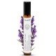 Eyebrow serum, Vitamin AEF, 100% pure, organic, natural, 10 ml
