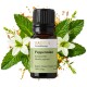 Peppermint oil, essential oil, 100% pure, organic, natural, 10 ml