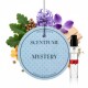 Scentfume Car Air Freshener 2 ml | Premium Fragrance Spray & Car Diffuser