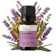 Lavender oil, essential oil, 100% pure, organic, natural, 10 ml