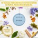 Scentfume Car Air Freshener 2 ml | Premium Fragrance Spray & Car Diffuser
