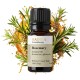 Rosemary oil, essential oil, 100% pure, organic, natural, 10 ml